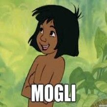 Novo filme Mogli: o menino da selva terá Baloo sendo interpretado por Bill Murray