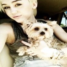 Morre o cachorro de Miley Cyrus